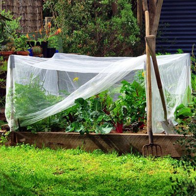 Filet anti oiseaux | Premium Protection - JARDINVERT MALIN.COM