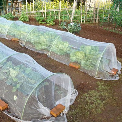 Filet anti oiseaux | Premium Protection - JARDINVERT MALIN.COM