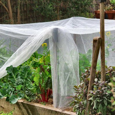 Filet anti oiseaux | Premium Protection - JARDINVERT MALIN.COM