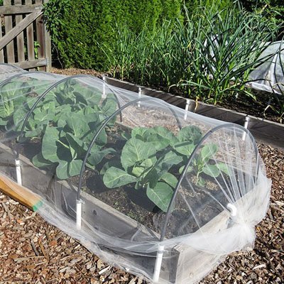 Filet anti oiseaux | Premium Protection - JARDINVERT MALIN.COM