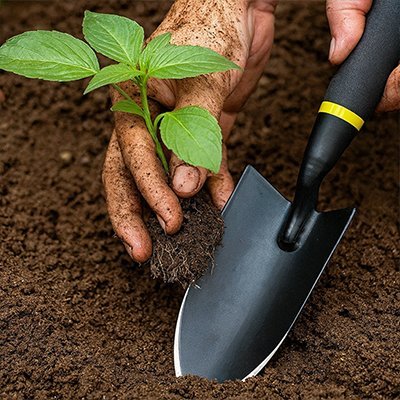 Pelle Robuste | Professionnel - JARDINVERT MALIN.COM