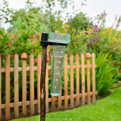 Pluviomètre | Précision Pro - JARDINVERT MALIN.COM