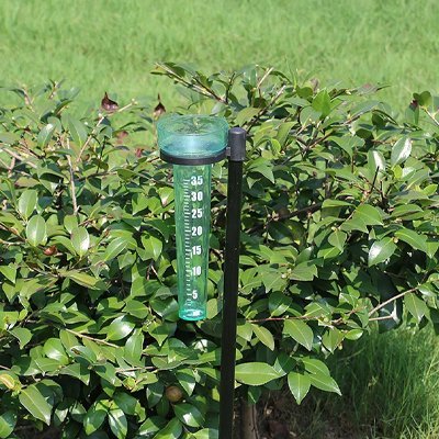 Pluviomètre | Précision Pro - JARDINVERT MALIN.COM