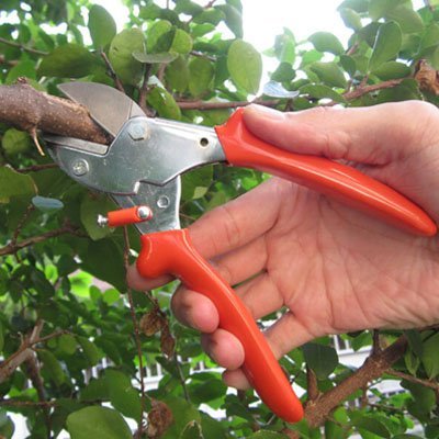 Sécateur | Acier Trempé Pro - JARDINVERT MALIN.COM