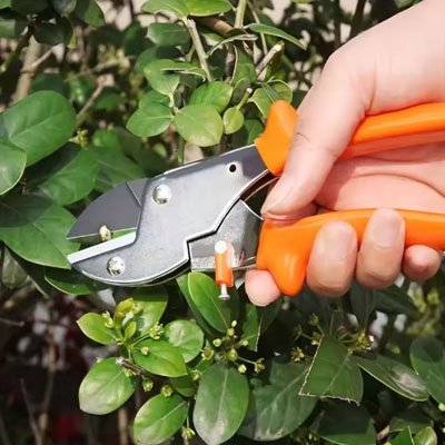 Sécateur | Acier Trempé Pro - JARDINVERT MALIN.COM