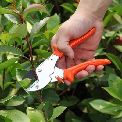 Sécateur | Acier Trempé Pro - JARDINVERT MALIN.COM