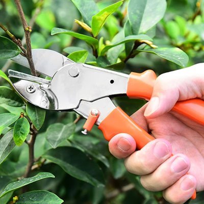 Sécateur | Acier Trempé Pro - JARDINVERT MALIN.COM