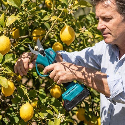 Sécateur Électrique | Pro - Precision - JARDINVERT MALIN.COM